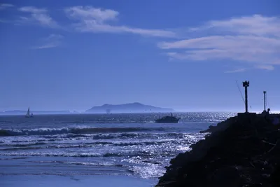 DSC_0864 (Large).JPG